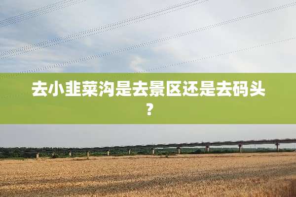 去小韭菜沟是去景区还是去码头？