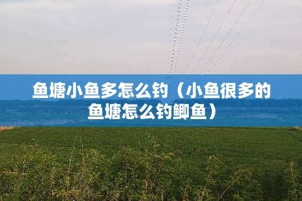 鱼塘小鱼多怎么钓（小鱼很多的鱼塘怎么钓鲫鱼）