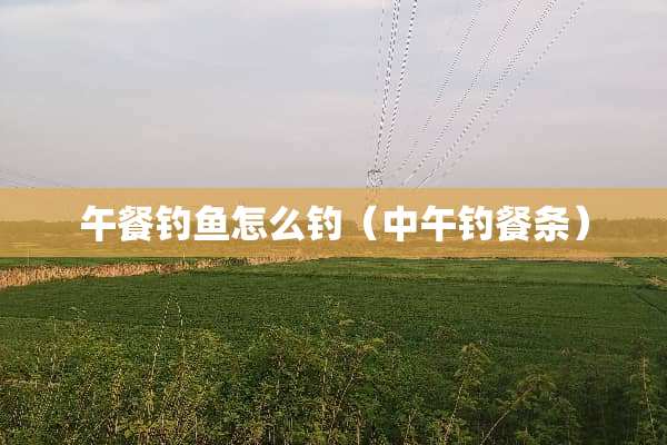 午餐钓鱼怎么钓（中午钓餐条）