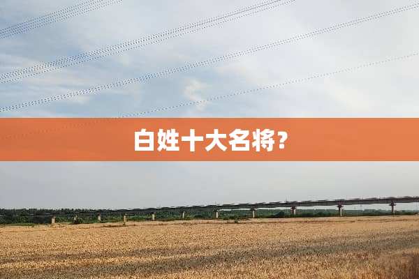 白姓十大名将？