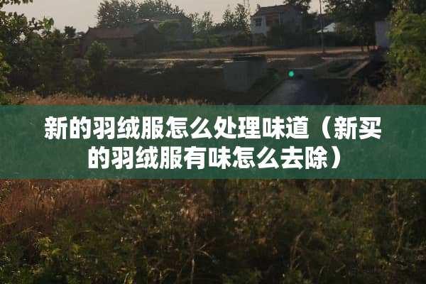 新的羽绒服怎么处理味道（新买的羽绒服有味怎么去除）