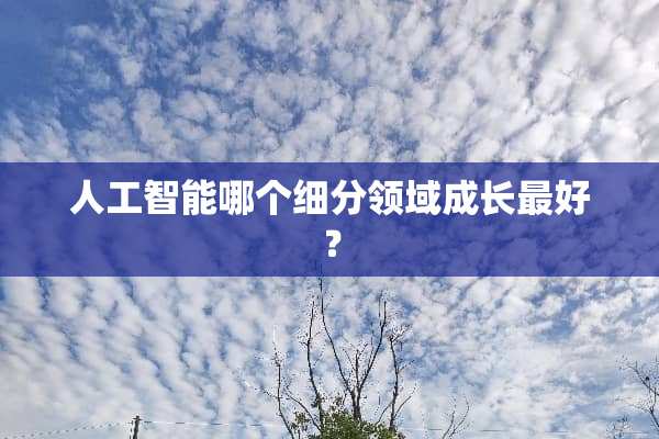 人工智能哪个细分领域成长最好？