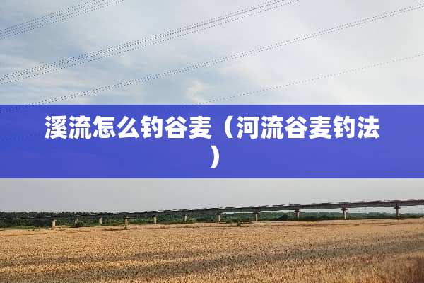 溪流怎么钓谷麦（河流谷麦钓法）