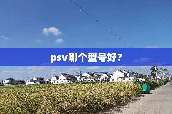 psv哪个型号好？