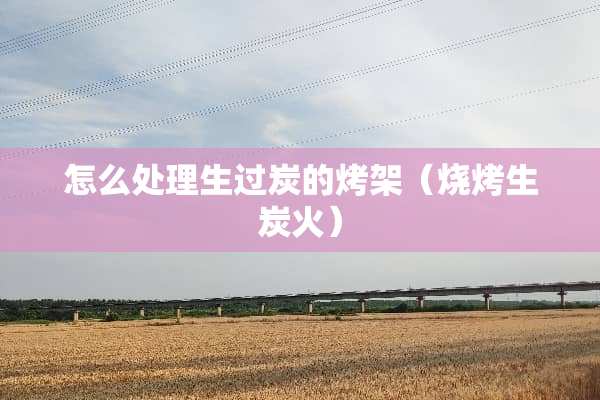 怎么处理生过炭的烤架（烧烤生炭火）