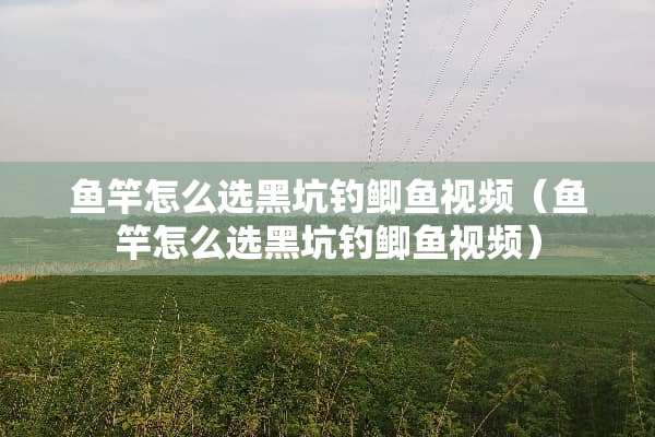鱼竿怎么选黑坑钓鲫鱼视频（鱼竿怎么选黑坑钓鲫鱼视频）