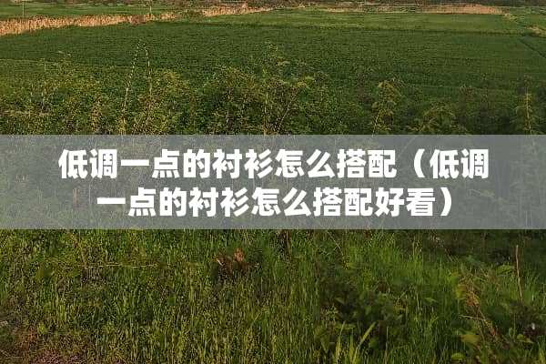 低调一点的衬衫怎么搭配（低调一点的衬衫怎么搭配好看）