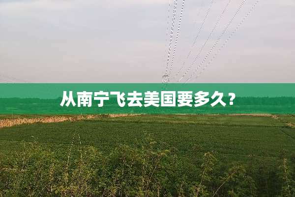 从南宁飞去美国要多久？