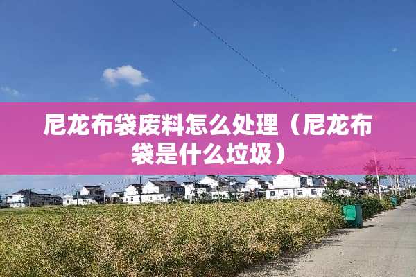 尼龙布袋废料怎么处理（尼龙布袋是什么垃圾）