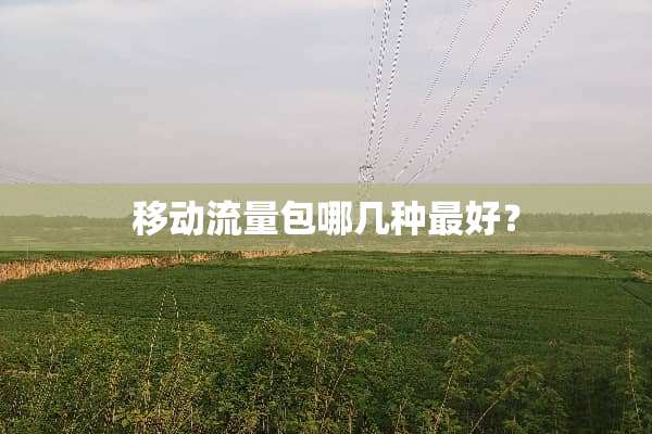 移动流量包哪几种最好？