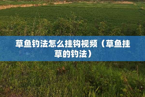 草鱼钓法怎么挂钩视频（草鱼挂草的钓法）