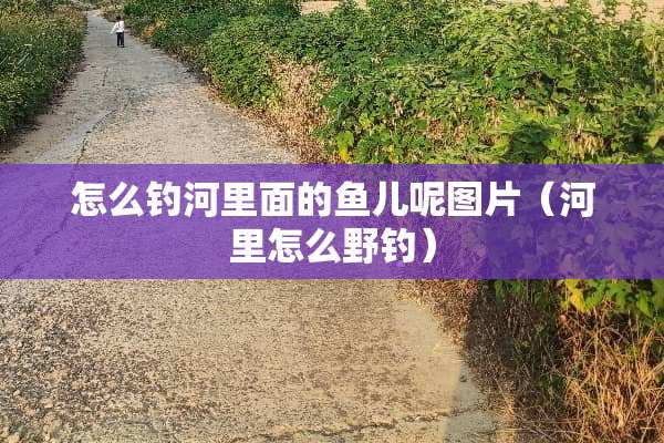 怎么钓河里面的鱼儿呢图片（河里怎么野钓）