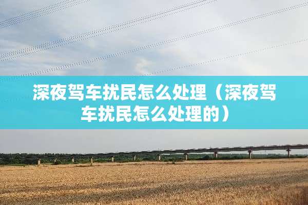 深夜驾车扰民怎么处理（深夜驾车扰民怎么处理的）