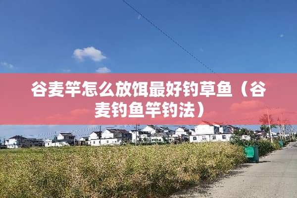 谷麦竿怎么放饵最好钓草鱼（谷麦钓鱼竿钓法）