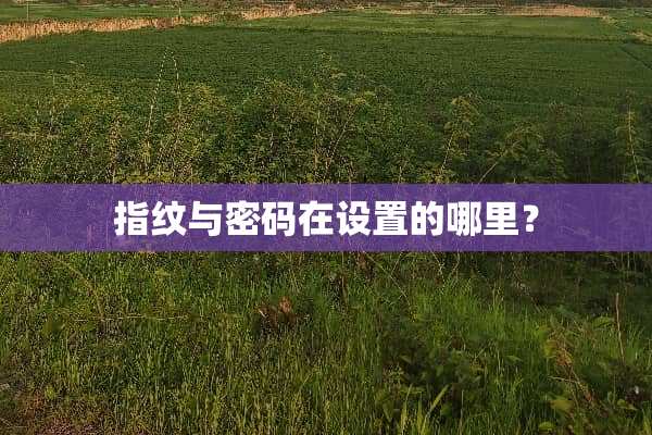 指纹与密码在设置的哪里？