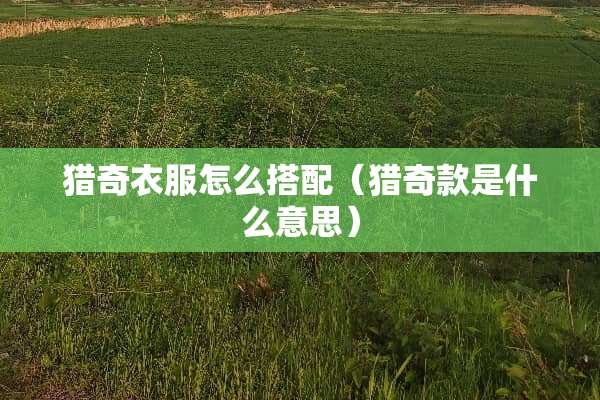 猎奇衣服怎么搭配（猎奇款是什么意思）