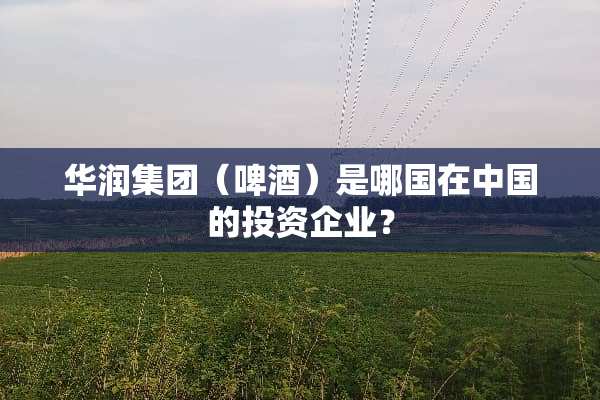 华润集团（啤酒）是哪国在中国的投资企业？