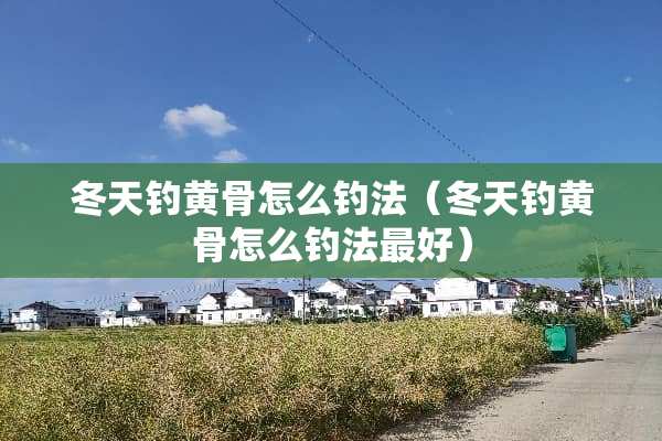 冬天钓黄骨怎么钓法（冬天钓黄骨怎么钓法最好）