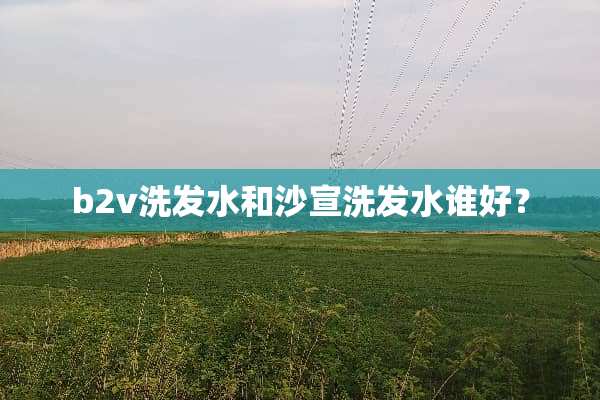 b2v洗发水和沙宣洗发水谁好？