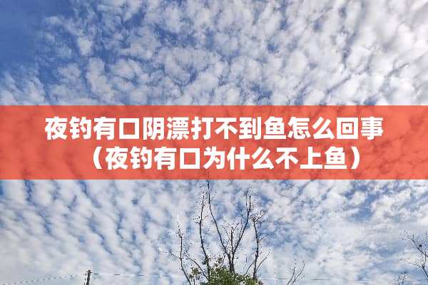 夜钓有口*漂打不到鱼怎么回事（夜钓有口为什么不上鱼）