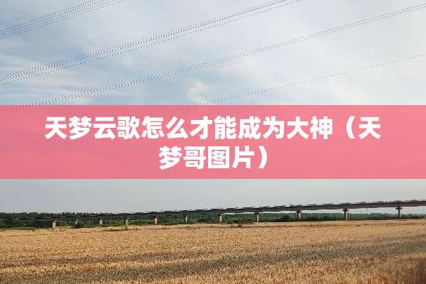 天梦云歌怎么才能成为大神（天梦哥图片）