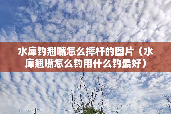 水库钓翘嘴怎么摔杆的图片（水库翘嘴怎么钓用什么钓最好）