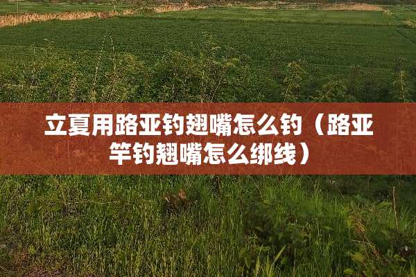 立夏用路亚钓翅嘴怎么钓（路亚竿钓翘嘴怎么绑线）