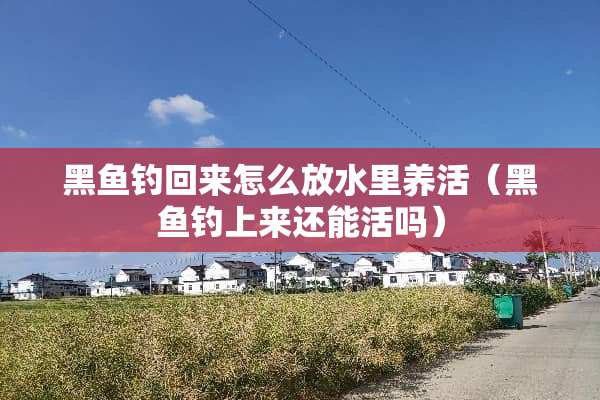 黑鱼钓回来怎么放水里养活（黑鱼钓上来还能活吗）