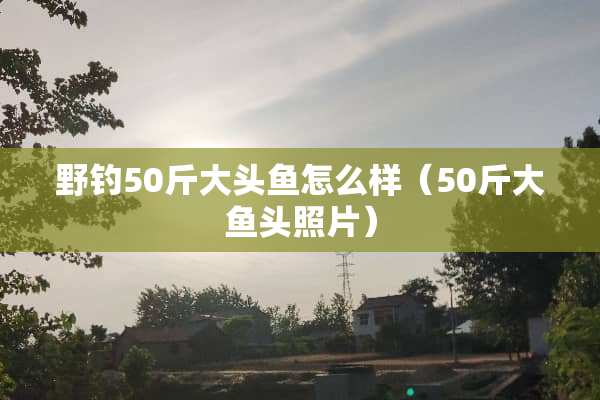 野钓50斤大头鱼怎么样（50斤大鱼头照片）