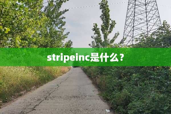 stripeinc是什么？