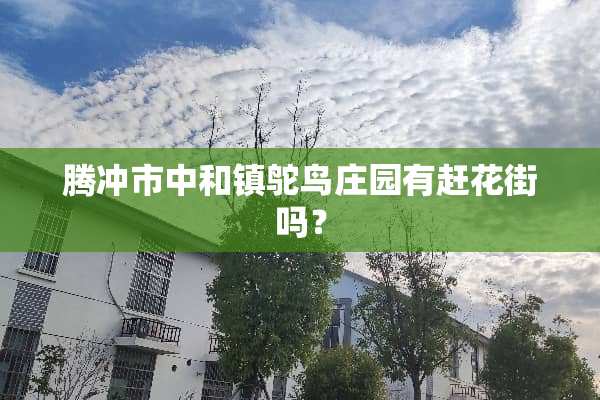 腾冲市中和镇鸵鸟庄园有赶花街吗？