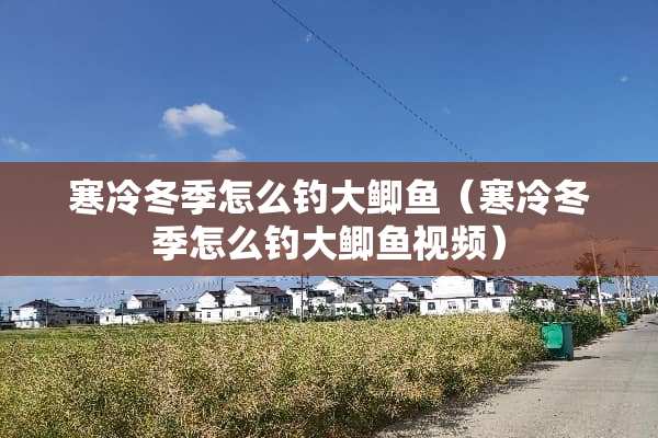 寒冷冬季怎么钓大鲫鱼（寒冷冬季怎么钓大鲫鱼视频）