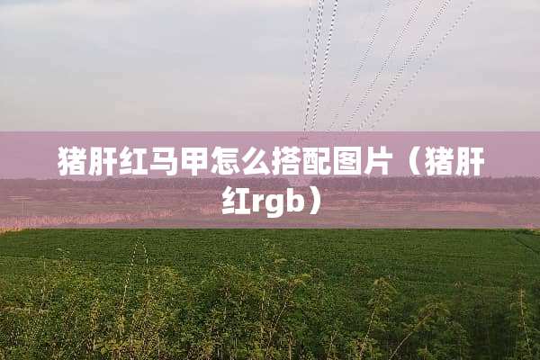猪肝红马甲怎么搭配图片（猪肝红rgb）