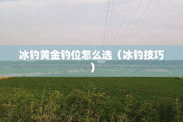 冰钓黄金钓位怎么选（冰钓技巧）