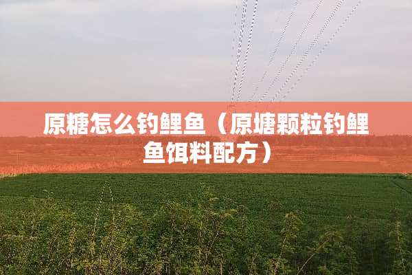原糖怎么钓鲤鱼（原塘颗粒钓鲤鱼饵料配方）