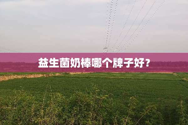 益生菌奶棒哪个牌子好？