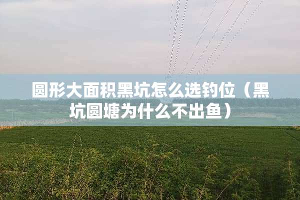 圆形大面积黑坑怎么选钓位（黑坑圆塘为什么不出鱼）