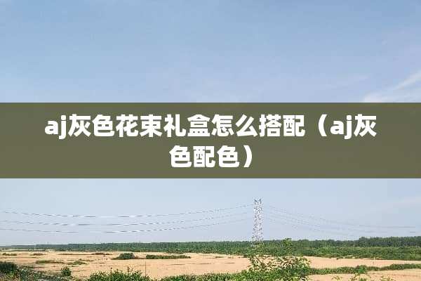 aj灰色花束礼盒怎么搭配（aj灰色配色）