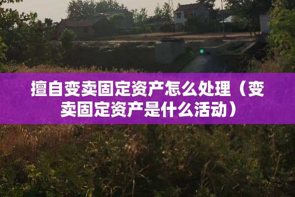 擅自变卖固定资产怎么处理（变卖固定资产是什么活动）
