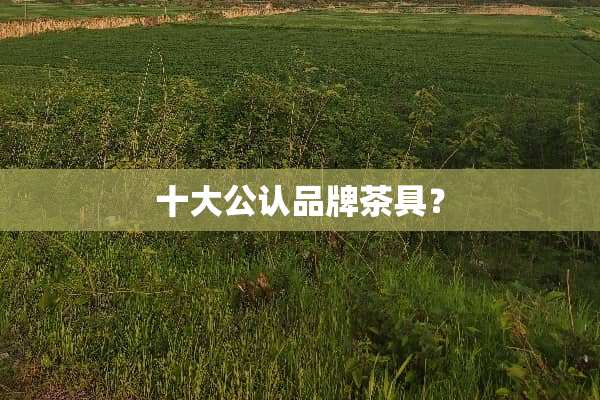 十大公认品牌茶具？