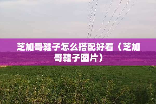 芝加哥鞋子怎么搭配好看（芝加哥鞋子图片）