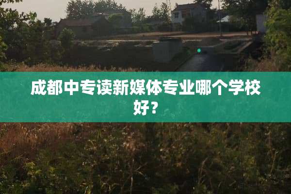 成都中专读新媒体专业哪个学校好？