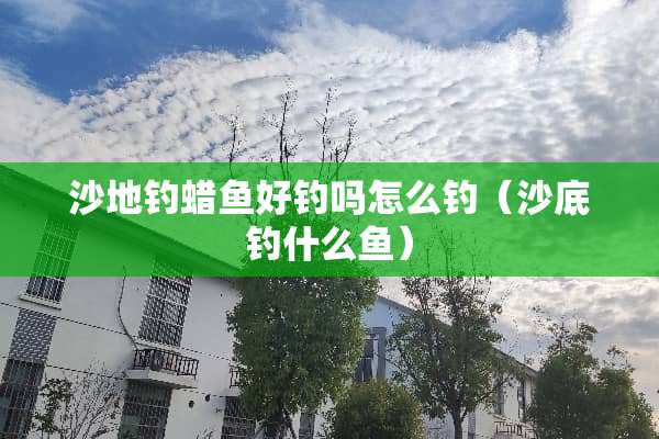 沙地钓蜡鱼好钓吗怎么钓（沙底钓什么鱼）