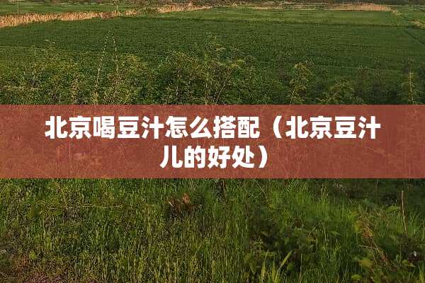 北京喝豆汁怎么搭配（北京豆汁儿的好处）