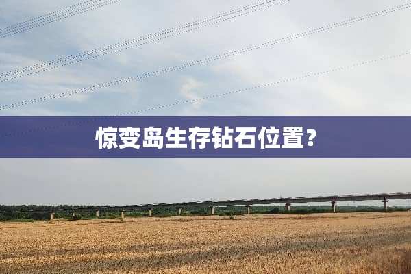 惊变岛生存钻石位置？