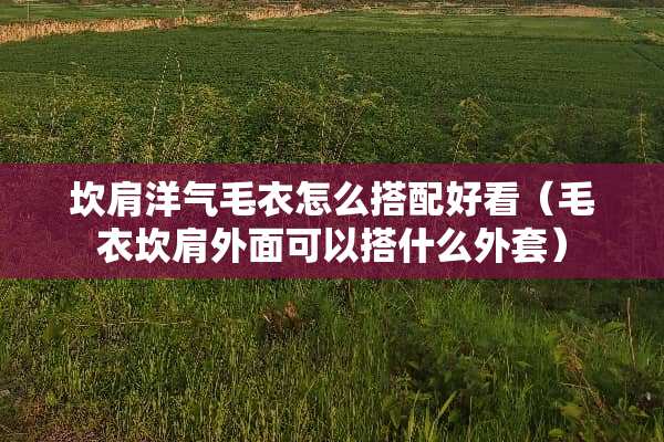坎肩洋气毛衣怎么搭配好看（毛衣坎肩外面可以搭什么外套）
