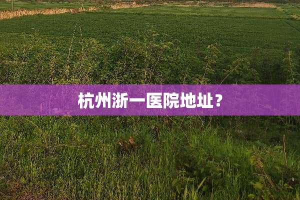 杭州浙一医院地址？