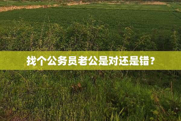 找个公务员老公是对还是错？