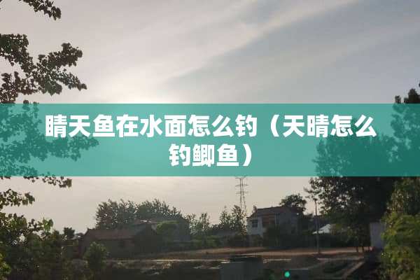 睛天鱼在水面怎么钓（天晴怎么钓鲫鱼）