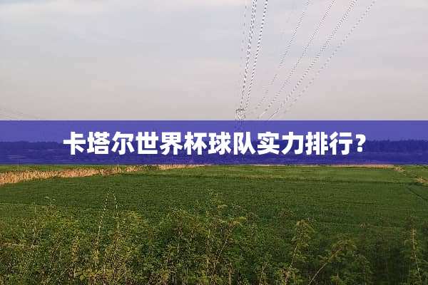 卡塔尔世界杯球队实力排行？